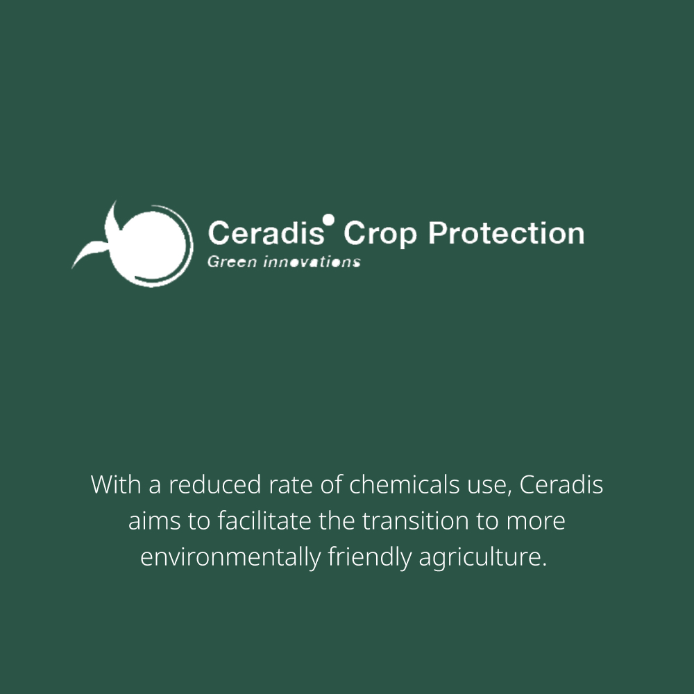 Ceradis crop